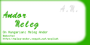 andor meleg business card